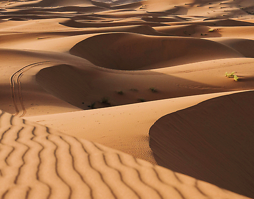 포토 JPG 해외이미지 모래 사람없음 사막 모로코 사하라 해외포토 아프리카 파일형식 이미지허브