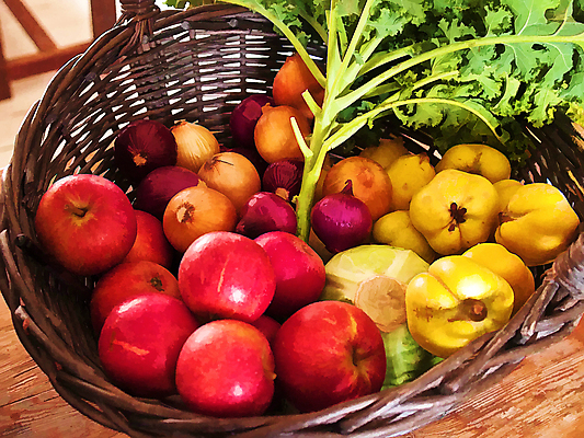 포토 JPG 해외이미지 계절 음식 농업 다이어트 채소 과일 재료 양파 건강 요리 사람없음 쇼핑 바구니 신선 그룹 변화 시장 달콤 사과 수집 유기농 원예 양배추 날것 모음 비타민 내추럴 조작 해외포토 웰빙 산업 컨셉 취미 맛 영양소 파일형식 이미지허브