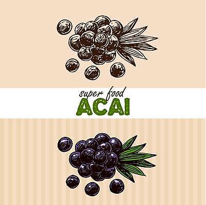 EPS 해외이미지 식물 라이프스타일 열매 음식 백그라운드 잎 농업 다이어트 채소 과일 일러스트 재료 자연 건강 손바닥 갈색 에너지 흰색 신선 몸무게 스케치 먹기 허브 그림 에코 유기농 날것 내추럴 고립 단백질 바이오 아마존 엘리먼트 채식주의자 비건 해외일러스트 손 웰빙 산업 컬러 모션 미술 생활 환경 생태계 채식 영양소 파일형식 벡터 이미지허브