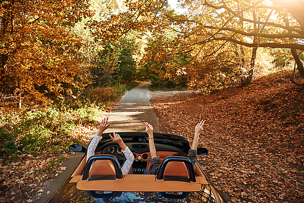 포토 JPG 해외이미지 백인 라이프스타일 여자 행복 도로 여행 자동차 휴가 휴식 짧은머리 거리 갈색머리 성인 야외 두명 여름 손들기 우정 운전 자유 흰색 고속도로 오픈카 속도 자동 해외포토 서양인 헤어스타일 계절 감정 길 육상교통 컬러 컨셉 교통시설 모션 승용차 사람 생활 친구 파일형식 이미지허브