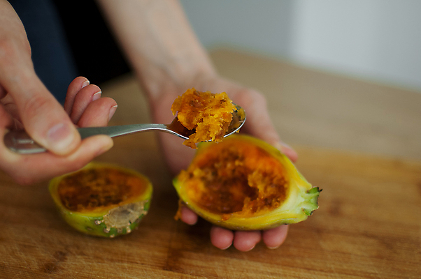 포토 JPG 해외이미지 여자 음식 조각 여행 백그라운드 다이어트 과일 탁자 디저트 멕시코 선인장 건강 관리 요리 사람 사람없음 목재 노란색 숟가락 흰색 신선 달콤 자르기 지중해 먹기 날것 슬라이스 건강식 무화과 내추럴 숙성 이국적 해외포토 나무 식물 바다 컬러 가구 북아메리카 재료 모션 수저 맛 파일형식 이미지허브