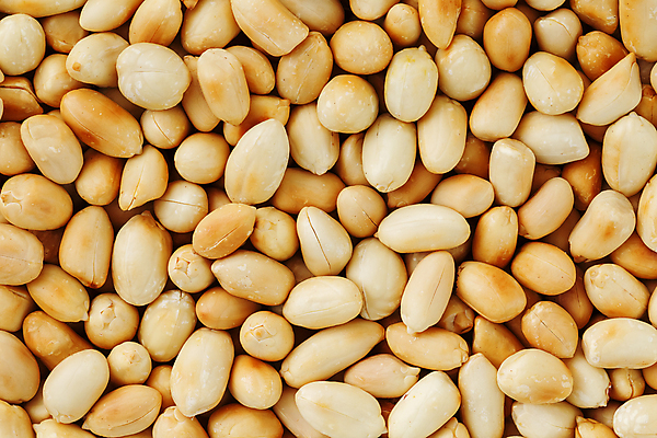 포토 JPG 해외이미지 실내 사람없음 여러개 가득함 땅콩 베이지색 해외포토 컬러 다수 내부 견과류 파일형식 이미지허브