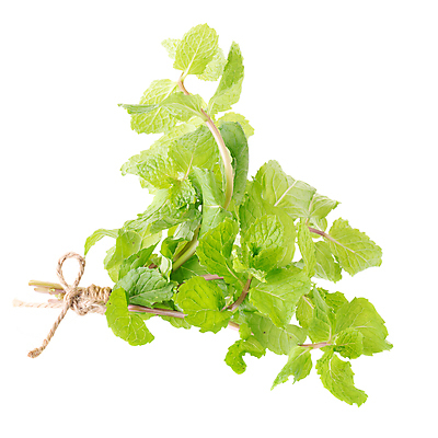 포토 JPG 해외이미지 식물 음식 백그라운드 잎 재료 자연 건강 사람없음 초록색 약 정원 흰색 신선 레몬 민트 허브 향신료 오브젝트 유기농 원예 아로마 후추 내추럴 고립 스피아민트 해외포토 웰빙 컬러 과일 의학 취미 생태계 향미료 파일형식 이미지허브