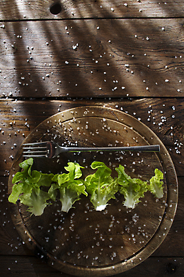 포토 JPG 해외이미지 접시 음식 다이어트 채소 재료 사람없음 목재 초록색 식사 저녁식사 샐러드 신선 상추 먹기 유기농 날것 섬유 점심식사 채식주의자 비건 해외포토 나무 식기 웰빙 컬러 모션 건강 직물 채식 파일형식 이미지허브