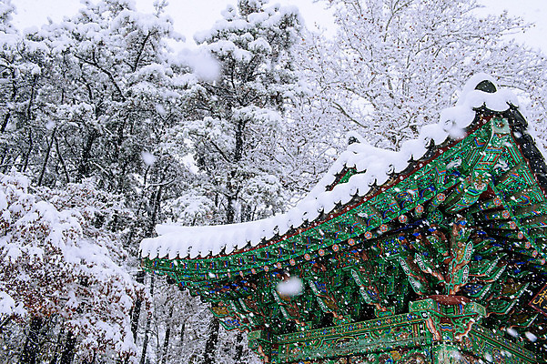 포토 JPG 해외이미지 나무 계절 아시아 조각 백그라운드 겨울 자연 하늘 산 서울 한국 동양인 풍경 사람없음 목재 태양 맑음 추위 가을 흰색 위험 시원함 흥분 해외202004 해외포토 자연요소 식물 감정 나라 컬러 컨셉 재료 날씨 인종 생태계 파일형식