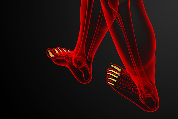 포토 JPG 해외이미지 해부 뼈 골격 건강 사람 사람없음 3D 발가락 양발 해외202004 해외포토 의학 발 디지털합성 파일형식