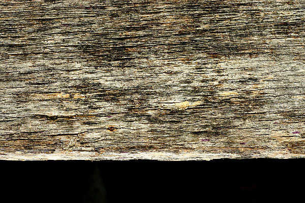 포토 JPG 해외이미지 디자인 외관 벽 백그라운드 패턴 자연 탁자 표면 날씨 추상 바닥 그림자 사람없음 목재 장식 갈색 수확 시골 기둥 소나무 판넬 얼룩 구멍 거친 널 낟알 방향 타일 책상 질감 복고 목공예 그런지 수목 옛날 파케트 국경 해외202004 해외포토 나무 건축 컬러 가구 무늬 농업 재료 공예 생태계 파일형식