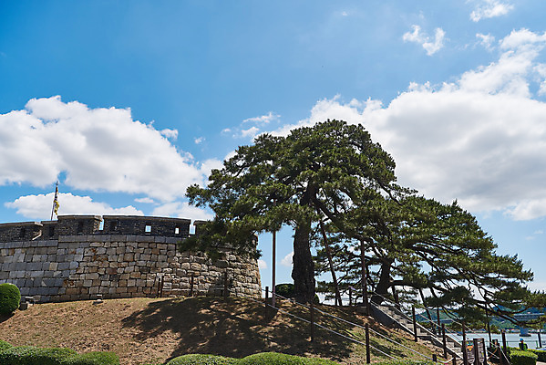 포토 JPG 주간 나무 구름 여행 한국건축 유적지 하늘 풍경 사람없음 야외 관광지 봄 문화재 성 역사 한국사 성벽 강화도 국내여행 명승지 사적지 강화초지진 국내포토 자연요소 식물 건축물 계절 건축 고건축 인천 파일형식