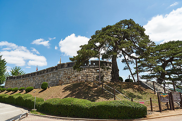 포토 JPG 주간 나무 구름 여행 한국건축 유적지 하늘 풍경 사람없음 야외 관광지 봄 문화재 성 역사 한국사 성벽 강화도 국내여행 명승지 사적지 강화초지진 국내포토 자연요소 식물 건축물 계절 건축 고건축 인천 파일형식