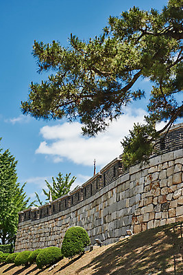 포토 JPG 주간 나무 구름 여행 한국건축 유적지 하늘 풍경 사람없음 야외 관광지 봄 문화재 성 역사 한국사 성벽 강화도 국내여행 명승지 사적지 강화초지진 국내포토 자연요소 식물 건축물 계절 건축 고건축 인천 파일형식