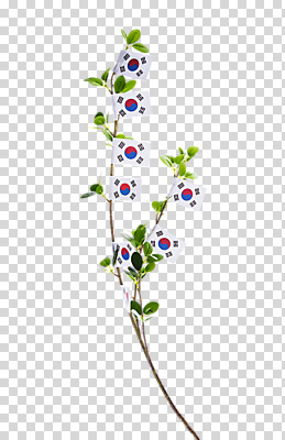 나무 편집 편집이미지 문화 나뭇잎 한국 누끼 사람없음 국기 태극기 삼일절 오브젝트 PNG 애국심 광복절 편집소스 식물 아시아 잎 공휴일 국경일 파일형식