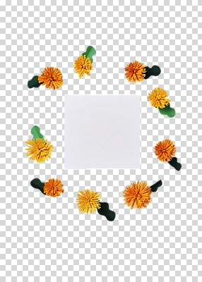 편집 편집이미지 배너 꽃 사각프레임 프레임 누끼 사람없음 페이퍼아트 민들레 오브젝트 종이공예 PNG 스타티스 편집소스 식물 사각형 공예 파일형식