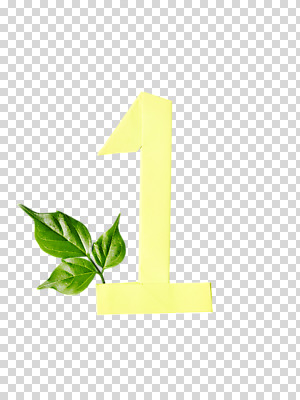 편집 편집이미지 1 잎 나뭇잎 누끼 사람없음 오브젝트 종이공예 종이접기 PNG 편집소스 식물 종이 공예 접기 파일형식