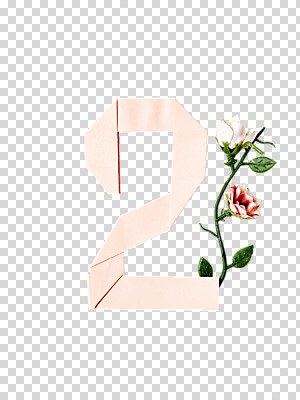 편집 편집이미지 꽃잎 꽃 잎 2 누끼 사람없음 오브젝트 종이공예 종이접기 PNG 편집소스 식물 종이 공예 접기 파일형식