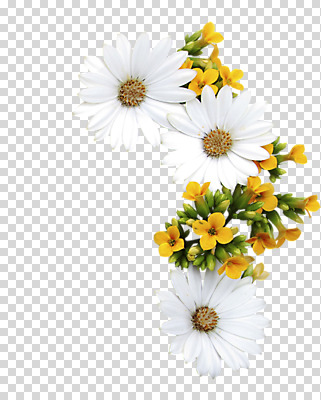 편집 편집이미지 꽃 잎 누끼 사람없음 오브젝트 PNG 편집소스 식물 파일형식