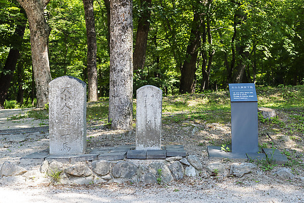 포토 JPG 주간 나무 한국전통 여행 유적지 풍경 사람없음 야외 여름 관광지 세계문화유산 문화재 역사 한국사 조선시대 광릉 왕릉 조선왕릉 하마비 세조 정희왕후 국내포토 자연요소 식물 전통 계절 고건축 한국 왕 비석 남양주 파일형식 왕후