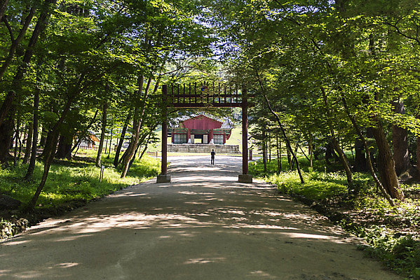 포토 JPG 주간 한국전통 여행 유적지 풍경 사람없음 야외 여름 관광지 세계문화유산 문화재 역사 한국사 조선시대 광릉 왕릉 정자각 조선왕릉 홍살문 세조 정희왕후 국내포토 자연요소 전통 계절 고건축 한국 왕 전통문 남양주 파일형식 왕후
