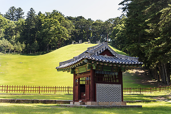 포토 JPG 주간 나무 무료이미지 한국전통 여행 유적지 풍경 사람없음 야외 여름 관광지 세계문화유산 문화재 무덤 역사 한국사 조선시대 광릉 비각 왕릉 조선왕릉 세조 정희왕후 국내포토 자연요소 식물 전통 계절 고건축 한국 왕 남양주 파일형식 왕후