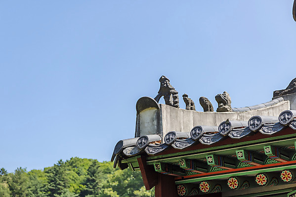 포토 JPG 주간 한국전통 여행 유적지 풍경 사람없음 야외 여름 관광지 세계문화유산 문화재 역사 한국사 조선시대 기와지붕 광릉 왕릉 잡상 정자각 조선왕릉 세조 정희왕후 국내포토 자연요소 전통 계절 고건축 지붕 한국 기와 왕 남양주 파일형식 왕후