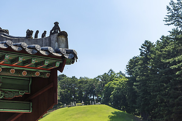 포토 JPG 주간 한국전통 여행 유적지 풍경 사람없음 야외 여름 관광지 세계문화유산 문화재 역사 한국사 조선시대 기와지붕 광릉 왕릉 잡상 정자각 조선왕릉 세조 정희왕후 국내포토 자연요소 전통 계절 고건축 지붕 한국 기와 왕 남양주 파일형식 왕후