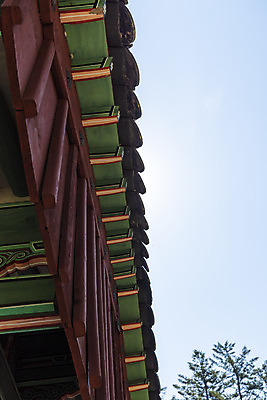 포토 JPG 주간 한국전통 로우앵글 여행 유적지 단청문양 풍경 사람없음 야외 여름 관광지 세계문화유산 문화재 역사 한국사 조선시대 광릉 왕릉 정자각 조선왕릉 지붕처마 세조 정희왕후 국내포토 자연요소 전통 문양 계절 뷰포인트 고건축 지붕 한국 왕 단청 처마 남양주 파일형식 왕후