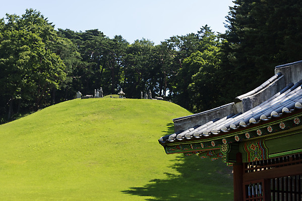포토 JPG 주간 나무 한국전통 여행 유적지 풍경 사람없음 야외 여름 관광지 세계문화유산 문화재 무덤 역사 한국사 조선시대 광릉 비각 왕릉 조선왕릉 세조 정희왕후 국내포토 자연요소 식물 전통 계절 고건축 한국 왕 남양주 파일형식 왕후