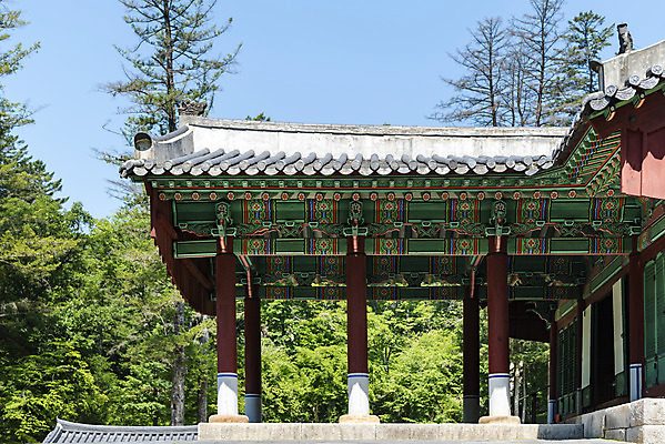 포토 JPG 주간 한국전통 여행 유적지 풍경 사람없음 야외 여름 관광지 세계문화유산 문화재 역사 한국사 조선시대 광릉 왕릉 정자각 조선왕릉 세조 정희왕후 국내포토 자연요소 전통 계절 고건축 한국 왕 남양주 파일형식 왕후