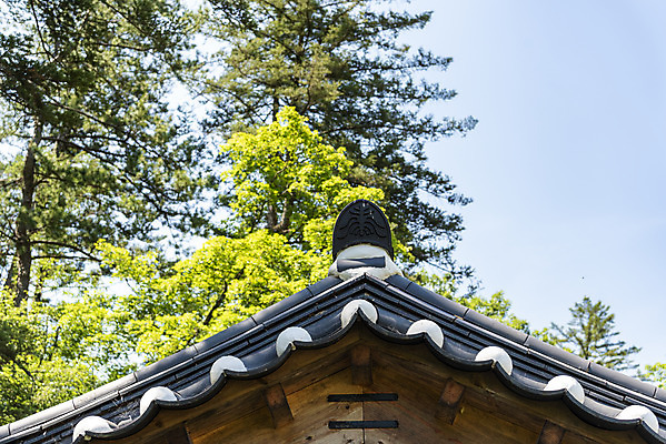 포토 JPG 주간 나무 한국전통 여행 유적지 풍경 사람없음 야외 여름 관광지 세계문화유산 문화재 역사 한국사 조선시대 광릉 왕릉 조선왕릉 수복방 세조 정희왕후 국내포토 자연요소 식물 전통 계절 고건축 한국 왕 남양주 파일형식 왕후