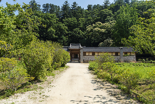 포토 JPG 주간 나무 한국전통 여행 유적지 풍경 사람없음 야외 여름 관광지 세계문화유산 문화재 역사 한국사 조선시대 광릉 왕릉 재실 조선왕릉 세조 정희왕후 국내포토 자연요소 식물 전통 계절 고건축 한국 왕 남양주 파일형식 왕후