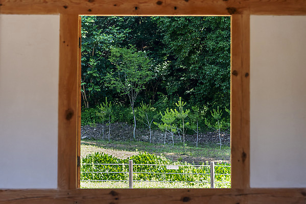 포토 JPG 주간 나무 한국전통 여행 유적지 풍경 사람없음 야외 여름 관광지 세계문화유산 문화재 역사 한국사 조선시대 나무문 광릉 왕릉 재실 조선왕릉 세조 정희왕후 국내포토 자연요소 식물 전통 계절 고건축 한국 목재 문 왕 남양주 파일형식 왕후