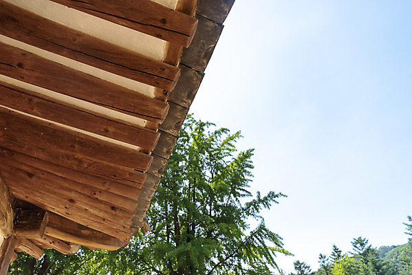 포토 JPG 주간 나무 한국전통 로우앵글 여행 유적지 하늘 풍경 사람없음 야외 여름 관광지 세계문화유산 문화재 역사 한국사 조선시대 광릉 왕릉 재실 조선왕릉 지붕처마 세조 정희왕후 국내포토 자연요소 식물 전통 계절 뷰포인트 고건축 지붕 한국 왕 처마 남양주 파일형식 왕후