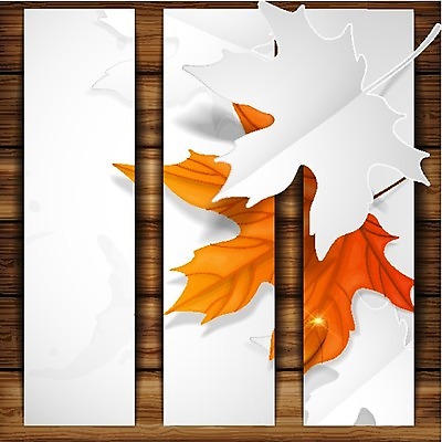 EPS 해외이미지 식물 종이 백그라운드 단풍 잎 일러스트 자연 수채화 사람없음 목재 갈색 노란색 가을 해외202004 해외일러스트 나무 계절 컬러 재료 생태계 파일형식 벡터