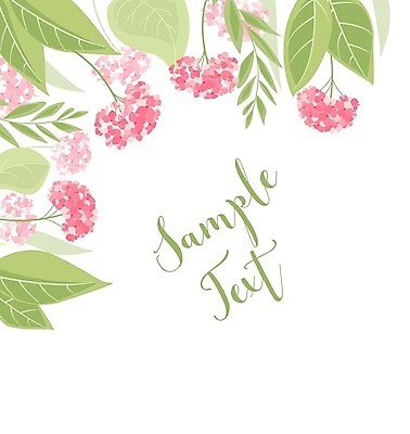 EPS 해외이미지 분홍색 백그라운드 잎 일러스트 프레임 타이포그라피 사람없음 우아함 수국 카피스페이스 해외202004 해외일러스트 식물 문자 꽃 컬러 컨셉 공백 파일형식 벡터