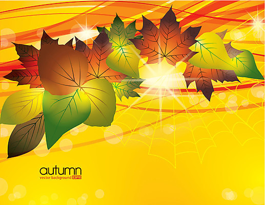 EPS 해외이미지 나무 디자인 계절 백그라운드 컨셉 단풍 잎 패턴 일러스트 텍스트 자연 추상 프레임 건조 미술 야외 장식 빨간색 초록색 빛 태양 갈색 노란색 우주 가을 축하 신용카드 메시지 변화 황금 9월 편지 질감 10월 내추럴 고립 구성 엘리먼트 국경 해외202004 해외일러스트 자연요소 식물 컬러 무늬 문화예술 금융 날짜 생태계 파일형식 벡터