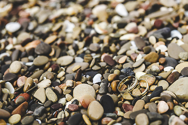 포토 JPG 해외이미지 커플 꽃 바다 결혼 백그라운드 장신구 관계 결혼식 남편 함께함 사랑 해변 사람없음 야외 물 유행 신혼여행 껍질 축하 반지 황금 고급 보석 심볼 다이아몬드 약혼 영원 해외202004 해외포토 자연요소 식물 감정 컨셉 이벤트 광석 약속 파일형식