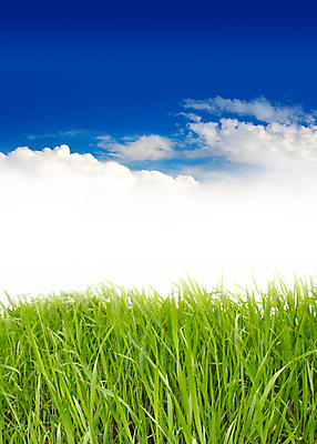 포토 JPG 해외이미지 식물 계절 백그라운드 밭 자연 벽지 하늘 잔디 사람없음 야외 초록색 파란색 농장 정원 맑음 봄 활발 땅 에코 내추럴 생태학 수평선 해외포토 교육 컬러 컨셉 농업 날씨 환경 생태계 파일형식 이미지허브