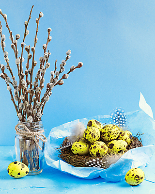 포토 JPG 해외이미지 나무 전통 꽃 꽃다발 백그라운드 휴가 부활절 손바닥 사람없음 장식 세로 파란색 노란색 고양이 나뭇가지 인사 신선 둥지 버드나무 깃털 유기농 날것 일요일 흙더미 내추럴 메추리 우크라이나 해외포토 식물 손 웰빙 기념일 유럽 컬러 포유류 반려동물 흙 예절 요일 파일형식 더미 이미지허브