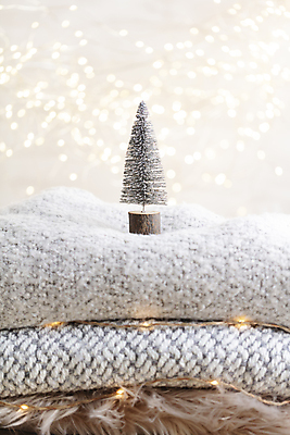 포토 JPG 해외이미지 사람없음 크리스마스트리 미니어처 스웨터 니트 미니트리 해외포토 상의 크리스마스 모형 파일형식 이미지허브