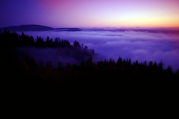 포토 JPG 해외이미지 나무 구름 하늘 날씨 산 풍경 사람없음 가로 황혼 일몰 분위기 저녁 숲 언덕 캘리포니아 태평양 북쪽 내추럴 수목 수평선 해외포토 자연요소 식물 바다 컨셉 노을 미국 야간 방향 파일형식 이미지허브