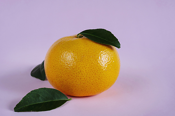 포토 JPG 해외이미지 1 음식 조각 백그라운드 잎 농업 오렌지 과일 부분 자연 귤 건강 사람없음 초록색 세트 노란색 주스 흰색 신선 달콤 맛 자르기 유기농 날것 슬라이스 C 내추럴 고립 숙성 완벽 채식주의자 해외포토 식물 웰빙 알파벳 산업 음료 컬러 컨셉 모션 생태계 채식 파일형식 이미지허브