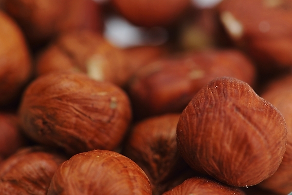 포토 JPG 해외이미지 실내 근접촬영 사람없음 아웃포커스 갈색 견과류 헤이즐넛 해외포토 뷰포인트 컬러 촬영기법 내부 파일형식 이미지허브