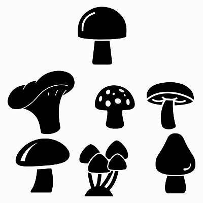 EPS 해외이미지 클립아트 식물 디자인 계절 실루엣 음식 백그라운드 채소 일러스트 자연 종류 세트 검은색 웹 버섯 가을 게임 굴 흰색 플랫 낙서 숲 작음 만화 수집 심볼 향신료 꿀 고립 곰팡이 그물버섯 독버섯 식용 캡모자 해외일러스트 모자_잡화 컬러 인터넷 놀이 어패류 촬영기법 크기 생태계 향미료 파일형식 벡터 이미지허브