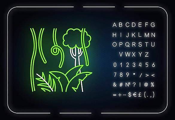 EPS 해외이미지 나무 알파벳 선 백그라운드 일러스트 타이포그라피 사람없음 풀잎 화려 덩굴 열대우림 심볼 네온 형광등 해외일러스트 식물 문자 영어 컨셉 잎 전등 풀_식물 숲 파일형식 벡터 이미지허브