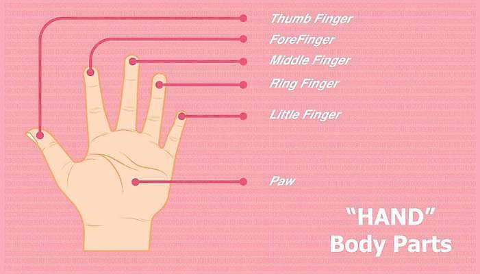 EPS 해외이미지 손 신체 일러스트 손가락 해부 맨발 바닥 건강 사람 그래픽 달리기 점프 스파 산책 아기 반지 중앙 큼 발자국 발가락 발목 단계 전력질주 충고 해외일러스트 장신구 의학 자국 모션 발 휴식 신체부위 크기 파일형식 벡터 이미지허브