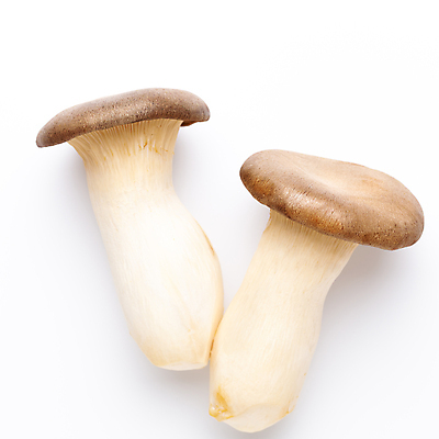 포토 JPG 해외이미지 식물 음식 백그라운드 채소 재료 건강 사람없음 갈색 식사 버섯 굴 흰색 신선 달콤 맛 수프 왕 먹기 고립 곰팡이 식용 해외포토 컬러 컨셉 모션 어패류 파일형식 이미지허브