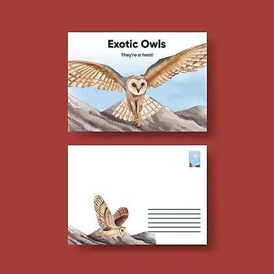 EPS 해외이미지 리플렛 일러스트 산 사람없음 세트 흰색 엽서 올빼미 해외일러스트 컬러 조류 편지 파일형식 벡터 이미지허브