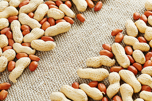 포토 JPG 해외이미지 프레임 실내 사람없음 삼베 땅콩 해외포토 내부 견과류 파일형식 천_직물 이미지허브