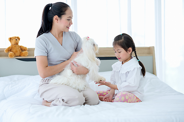 포토 JPG 해외이미지 동물 라이프스타일 딸 행복 어린이 가족 관계 태국 엄마 휴식 주택 함께함 실내 사랑 사람 앉기 동양인 두명 반려동물 귀여움 우정 침실 방 흰색 개 강아지 결합 긍정 돌봄 안락 해외포토 감정 아시아 컬러 컨셉 포유류 모션 인종 내부 건물 생활 친구 파일형식 이미지허브