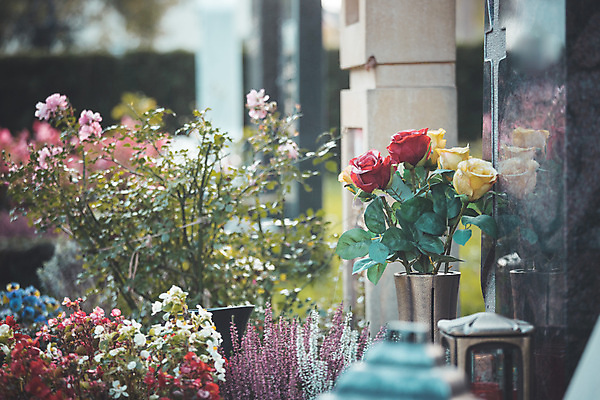 포토 JPG 해외이미지 꽃 조각 꽃다발 불꽃 사랑 사람없음 빛 햇빛 태양 장미 평화 공백 슬픔 죽음 무덤 이별 묘사 애도 신성 천국 장례 떠남 블러 신앙심 장례식 추모 카피스페이스 해외포토 자연요소 식물 감정 컨셉 모션 불 파일형식 이미지허브