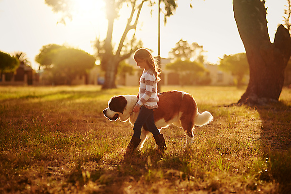 포토 JPG 해외이미지 주간 전신 한마리 여자 반려견 어린이 함께함 한명 야외 옆모습 친구 반려동물 걷기 우정 산책 강아지 즐거움 대형견 소녀한명만 해외포토 자연요소 동물 1 감정 뷰포인트 컨셉 관계 모션 휴식 사람 개 여자한명만 소녀만 파일형식 이미지허브